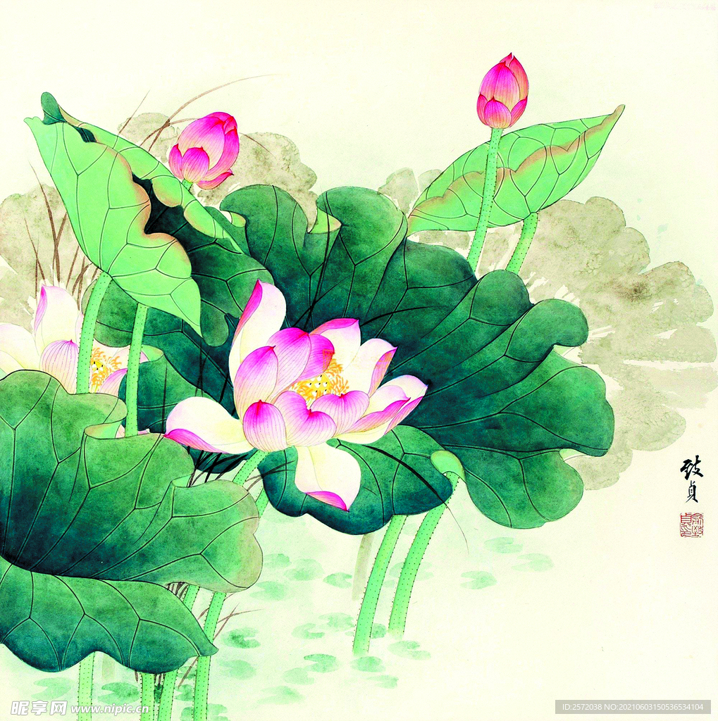 荷花图