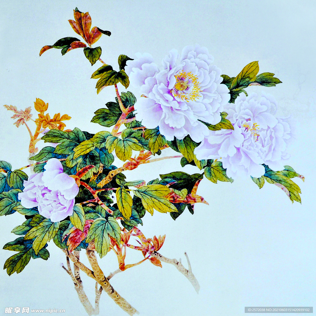 花舞