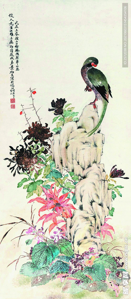鹦鹉