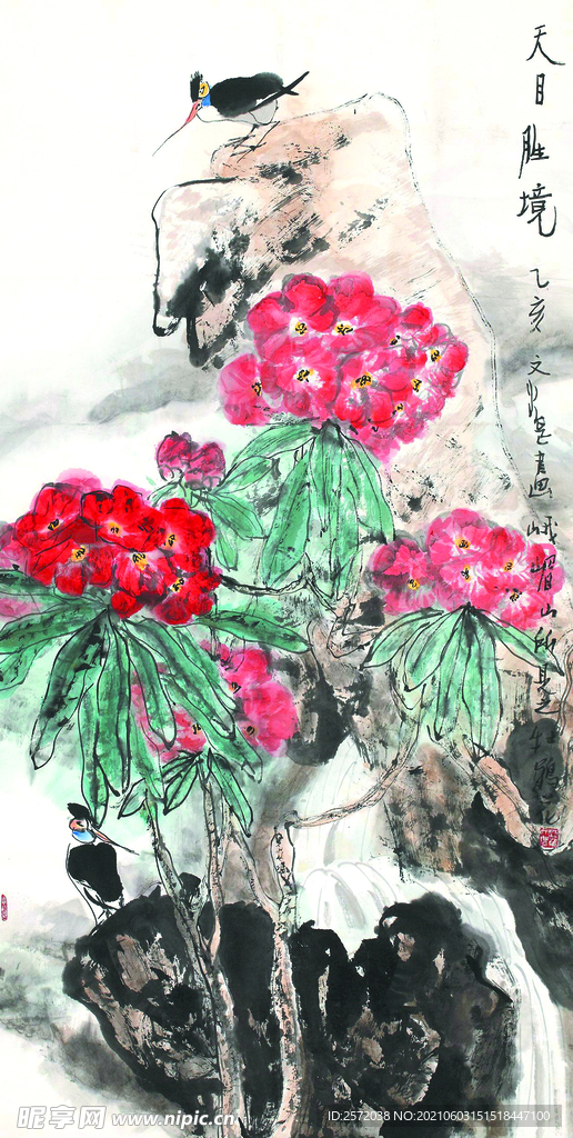 花鸟