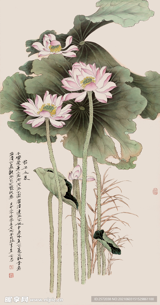 君子之美