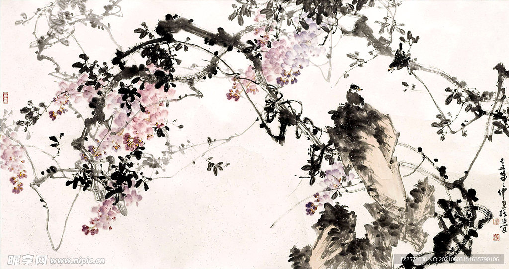花鸟小品