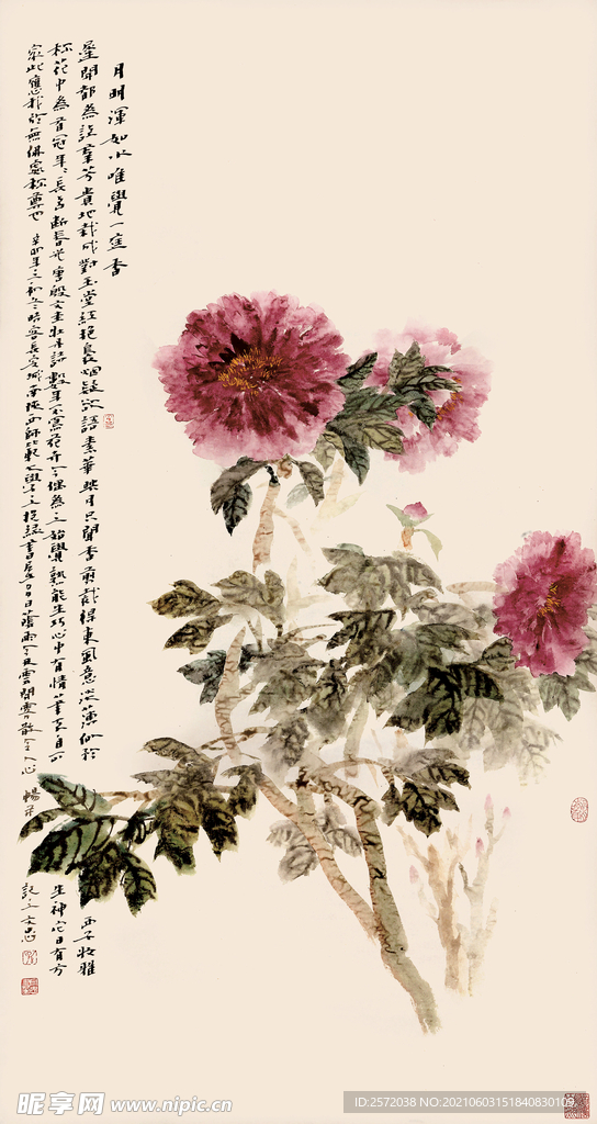 诗意牡丹