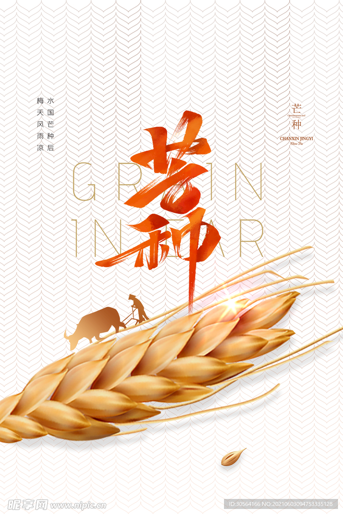 芒种节气传统活动宣传海报素材
