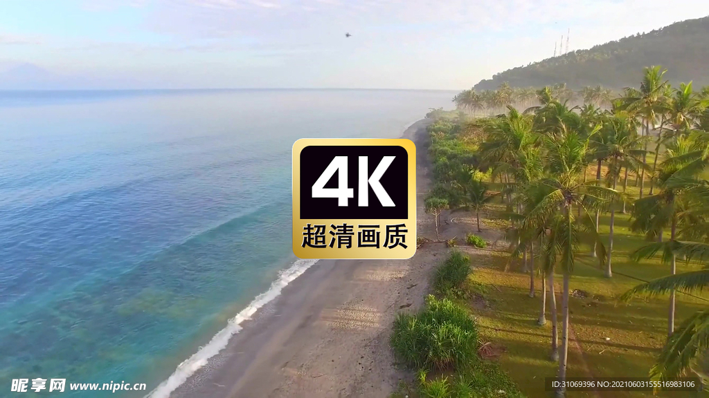 风景素材热带椰林海滩