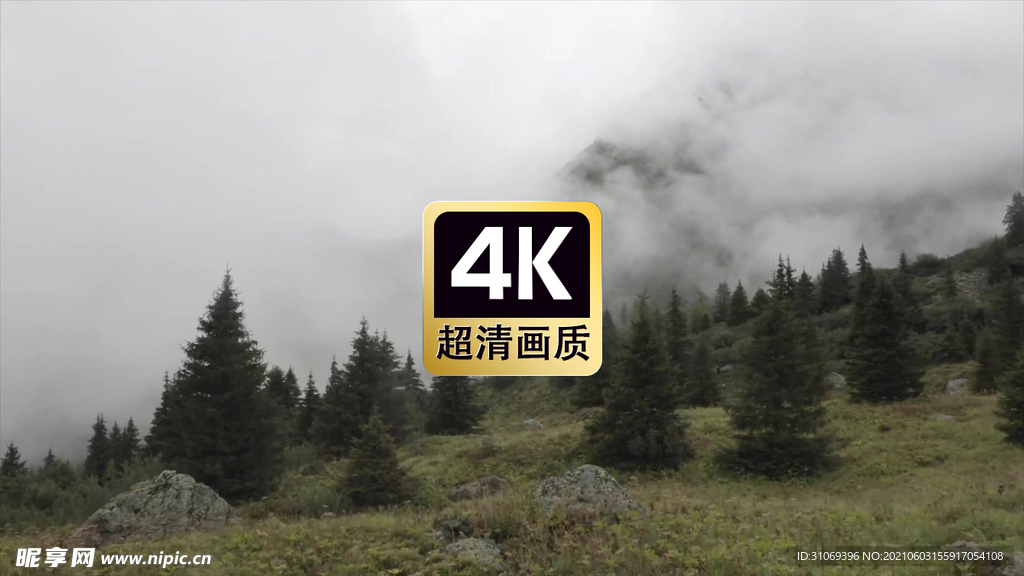 风景素材山坡上厚厚的云雾