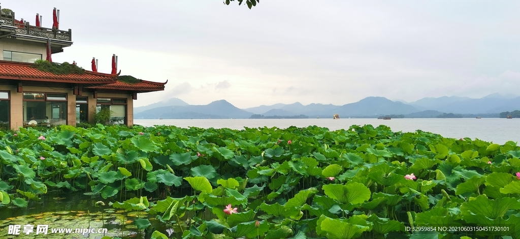 西湖美景