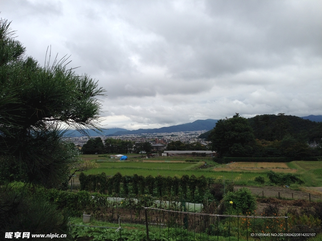 俯瞰田园