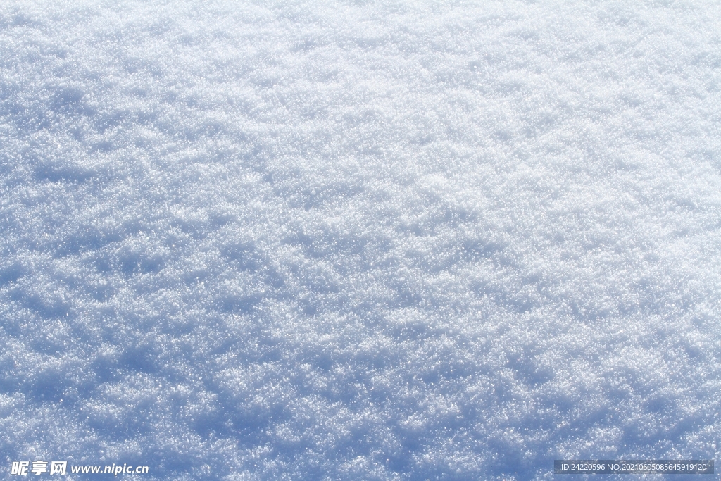 雪地