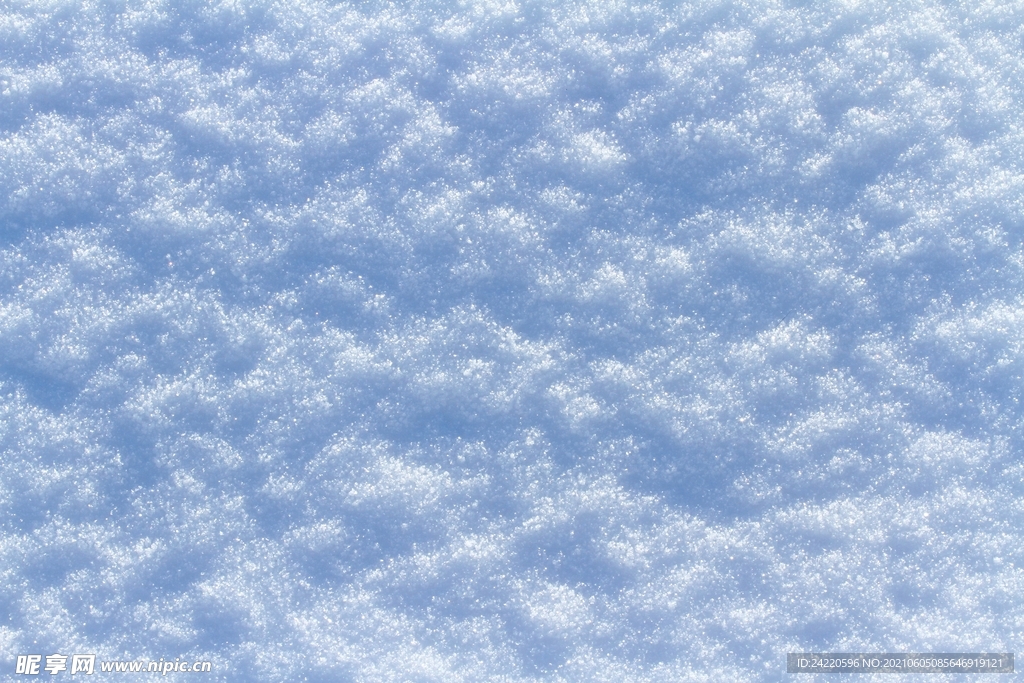 雪地