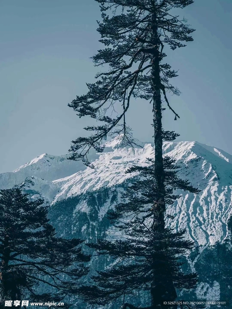 自然风景图