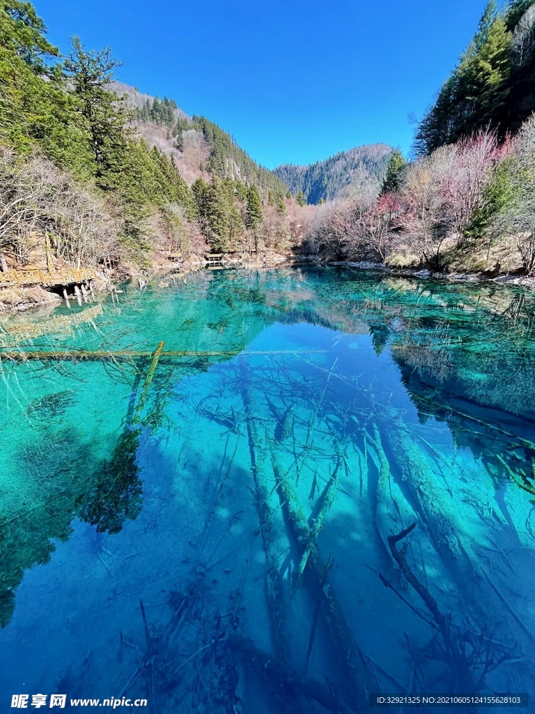 自然风景图