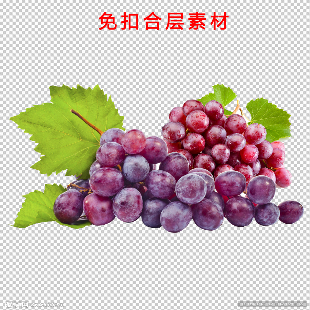 葡萄