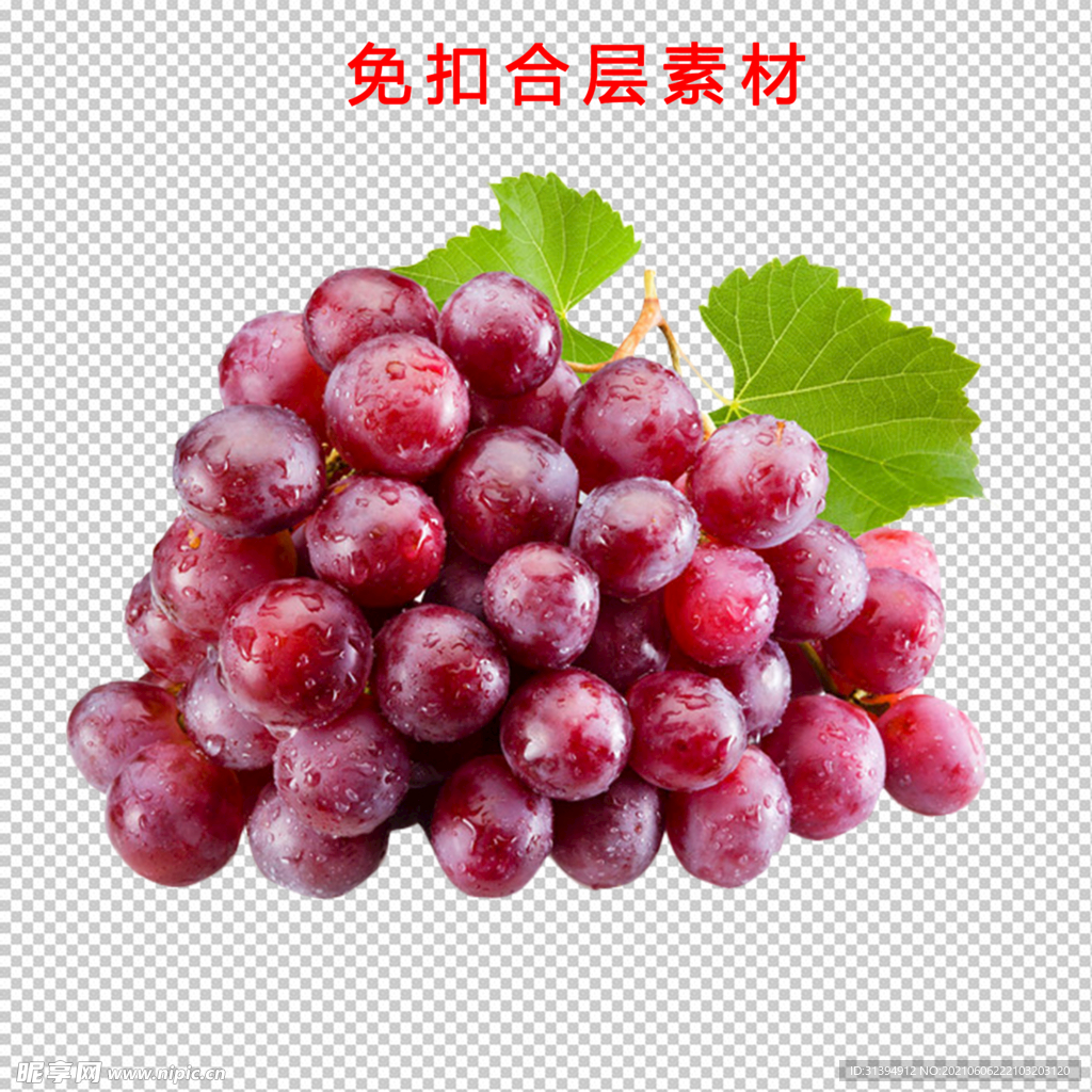 葡萄