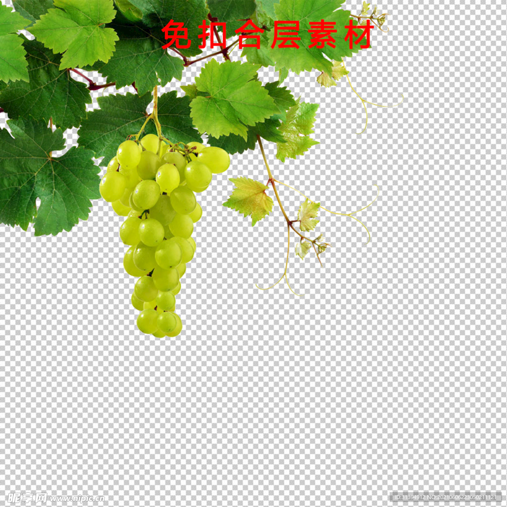 葡萄