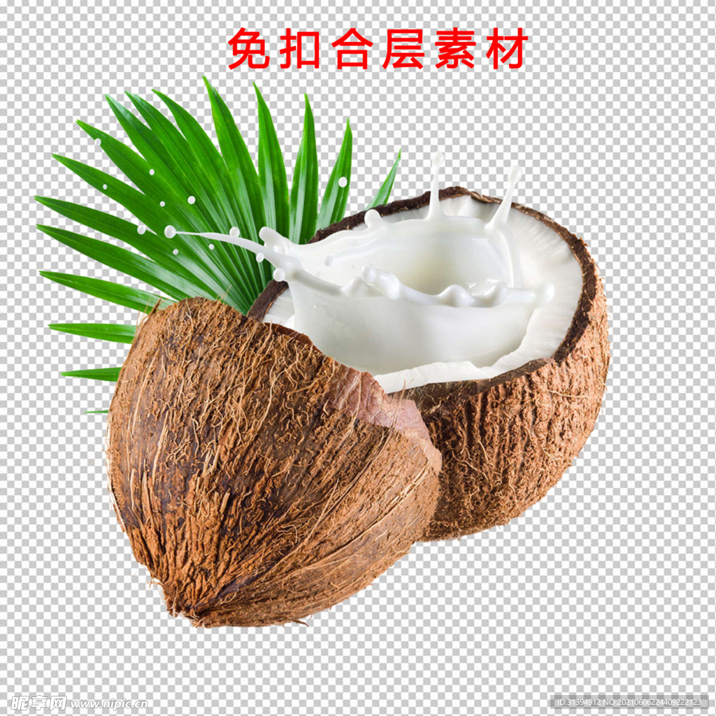 椰子