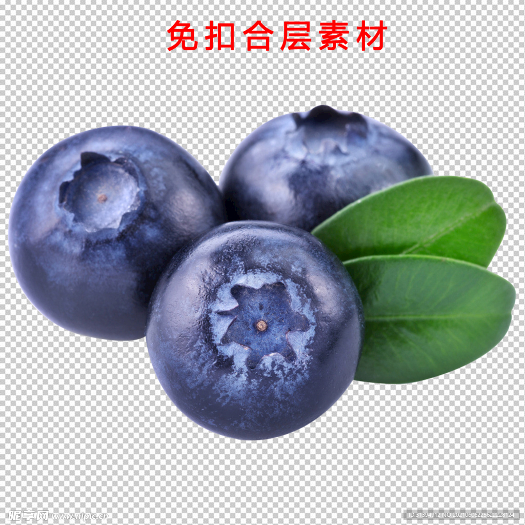 蓝莓