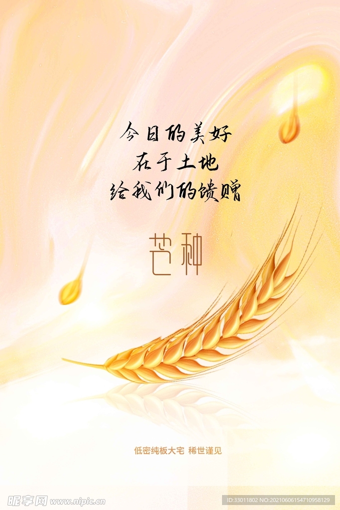 芒种节气传统活动宣传海报素材