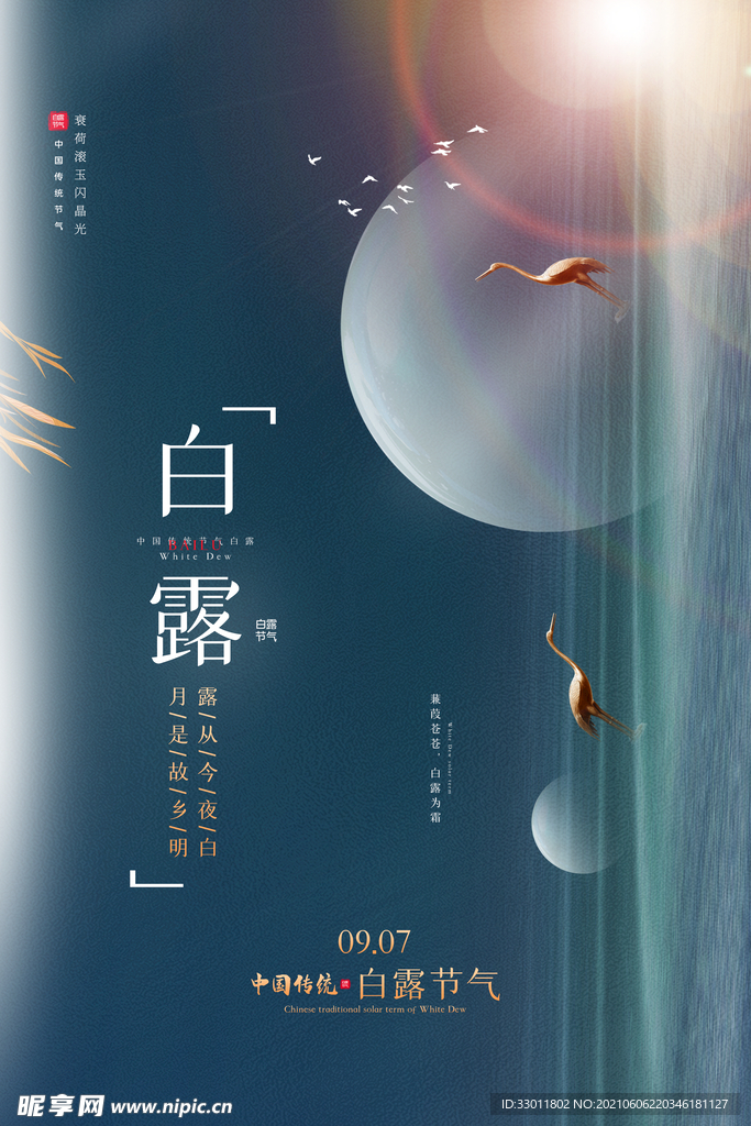白露节气传统活动海报素材