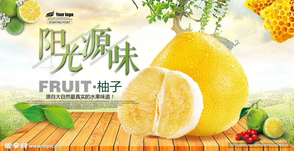 精美柚子水果海报