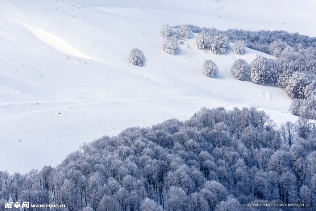 冬季雪景 