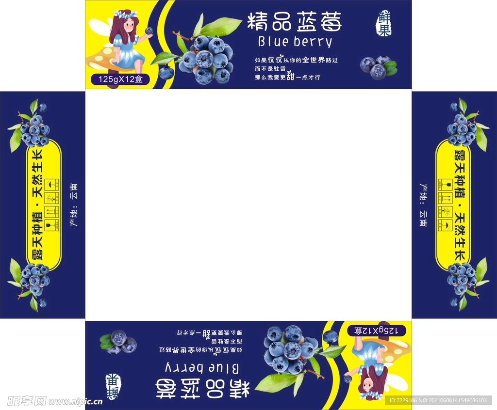 蓝莓对口箱