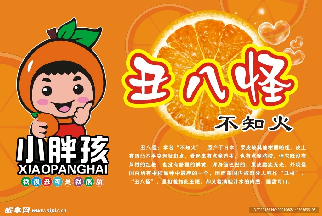 丑八怪