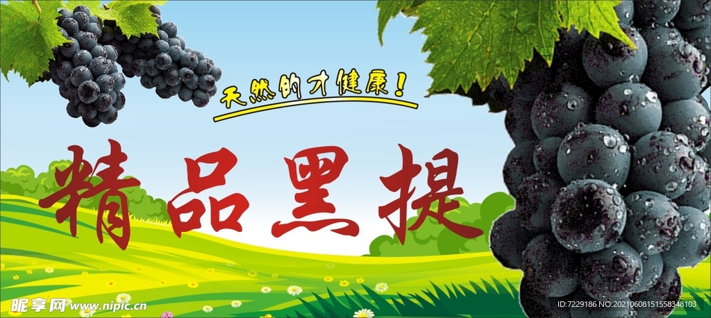 极品黑提