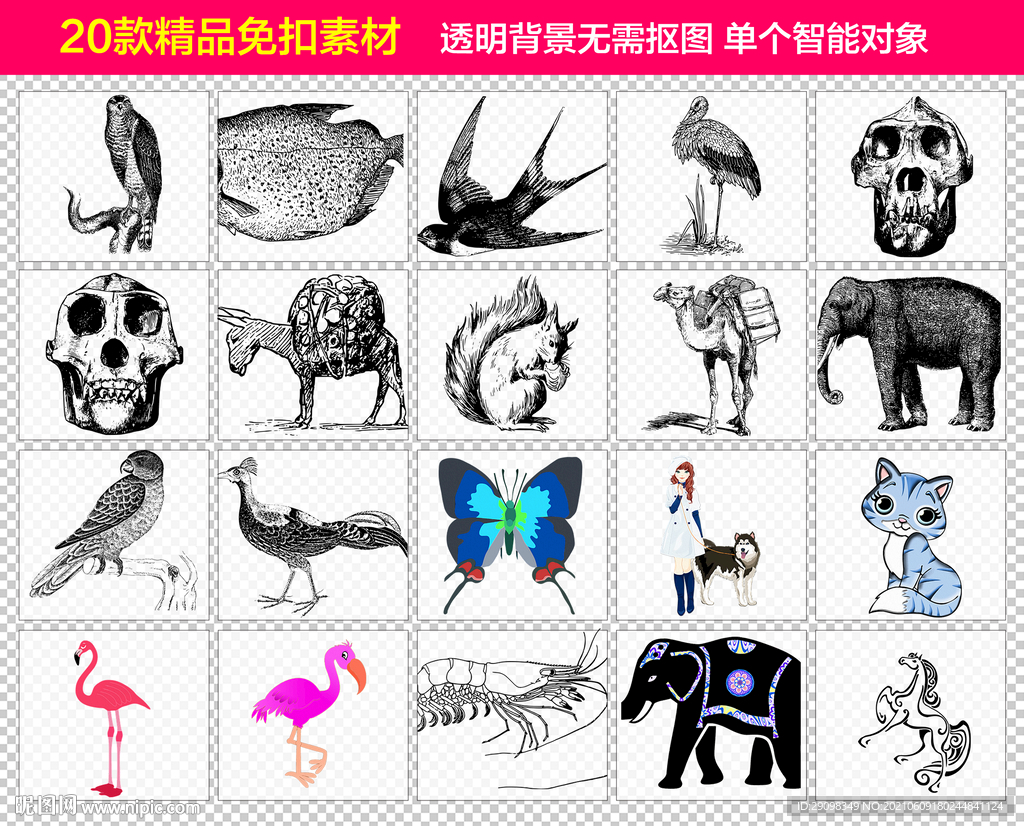 蝴蝶大象动物昆虫免抠素材