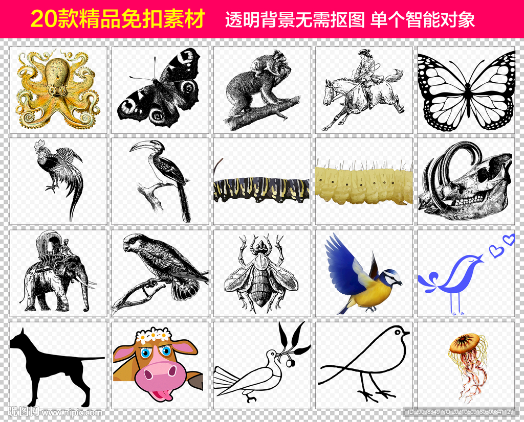 昆虫小鸟动物免抠素材