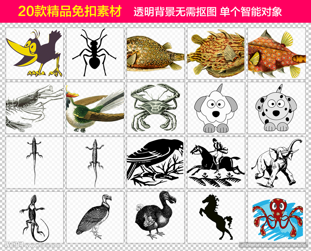 动物水中生物免抠素材