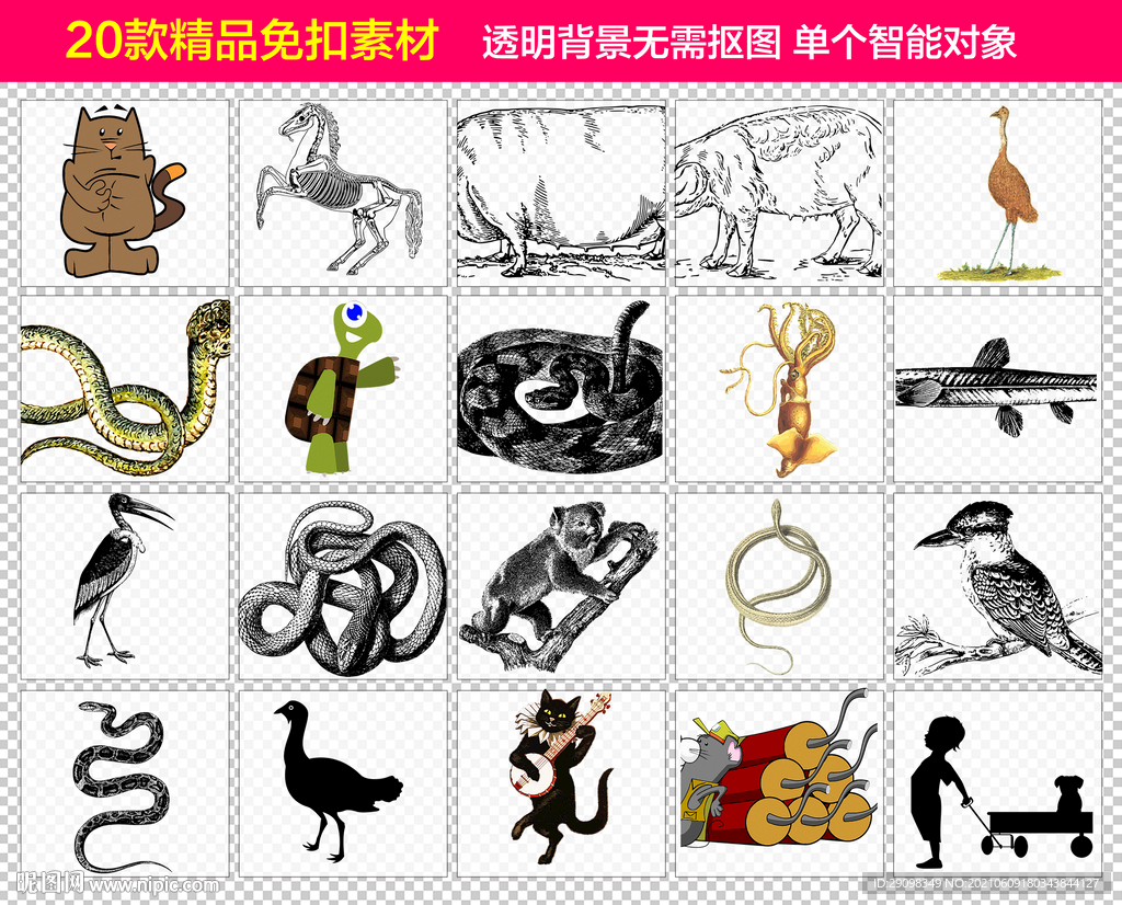 蛇动物免抠素材
