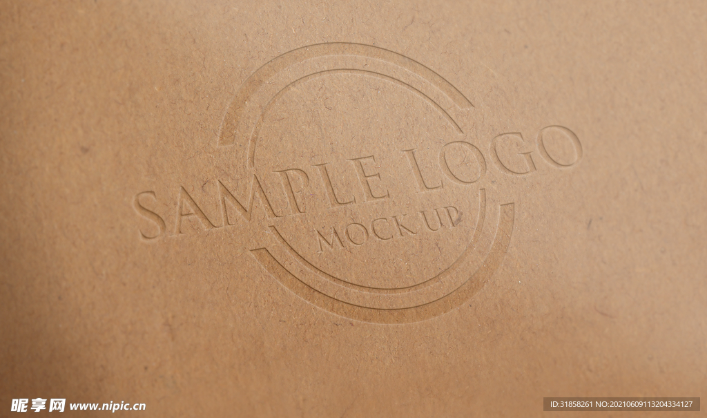 硬板纸纹凹凸logo展示样机