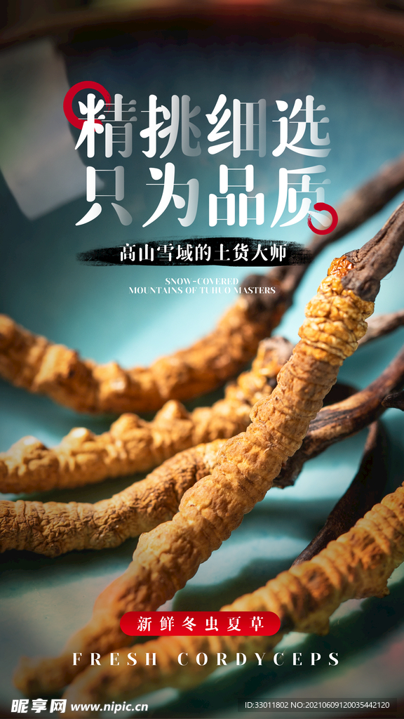 冬虫夏草促销活动宣传海报素材