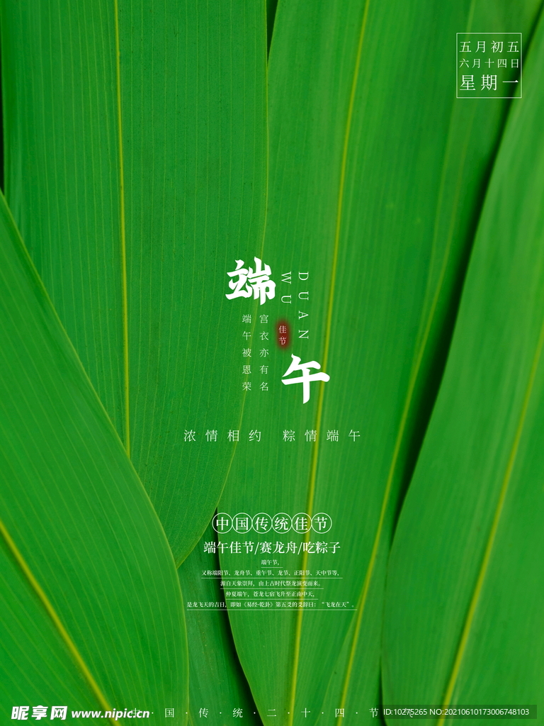 简约中国传统佳节端午粽叶绿色叶