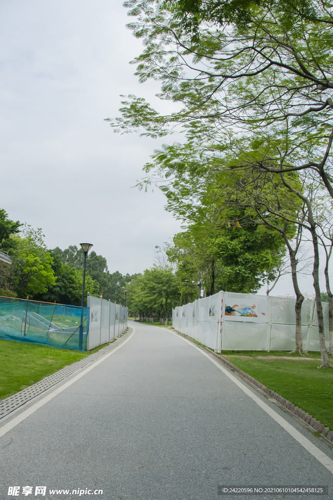 公园小路