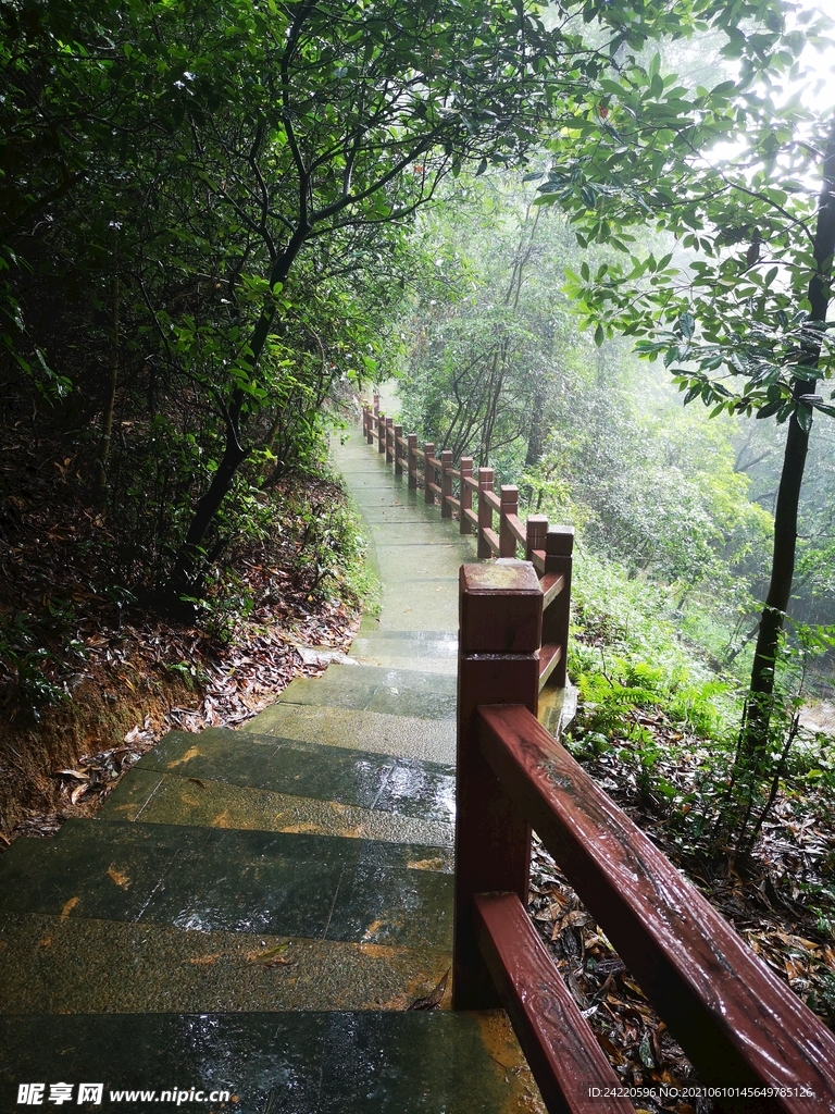 登山路