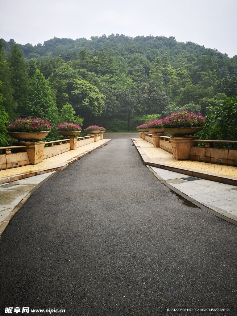 道路