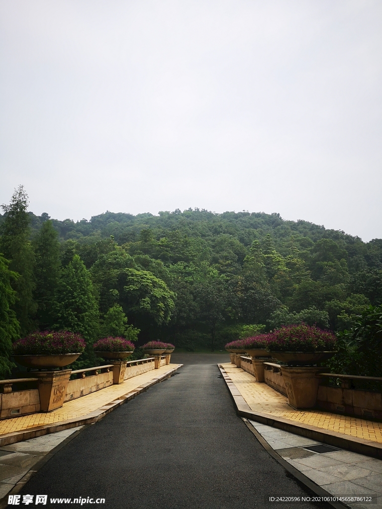 道路