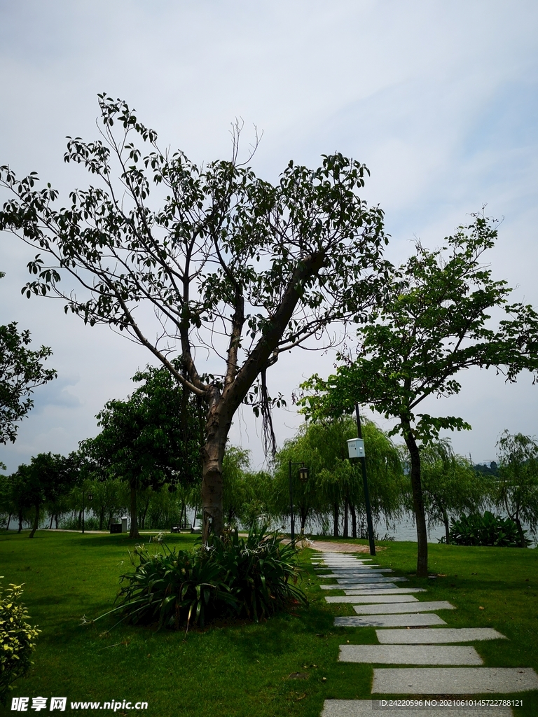 小路