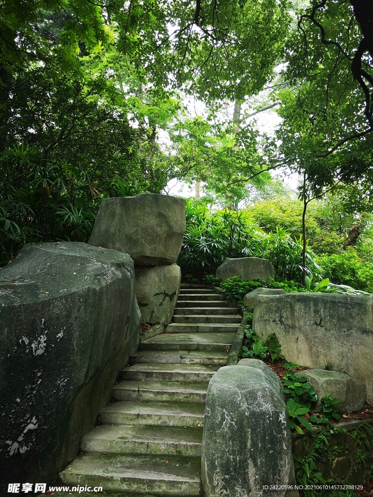 石梯