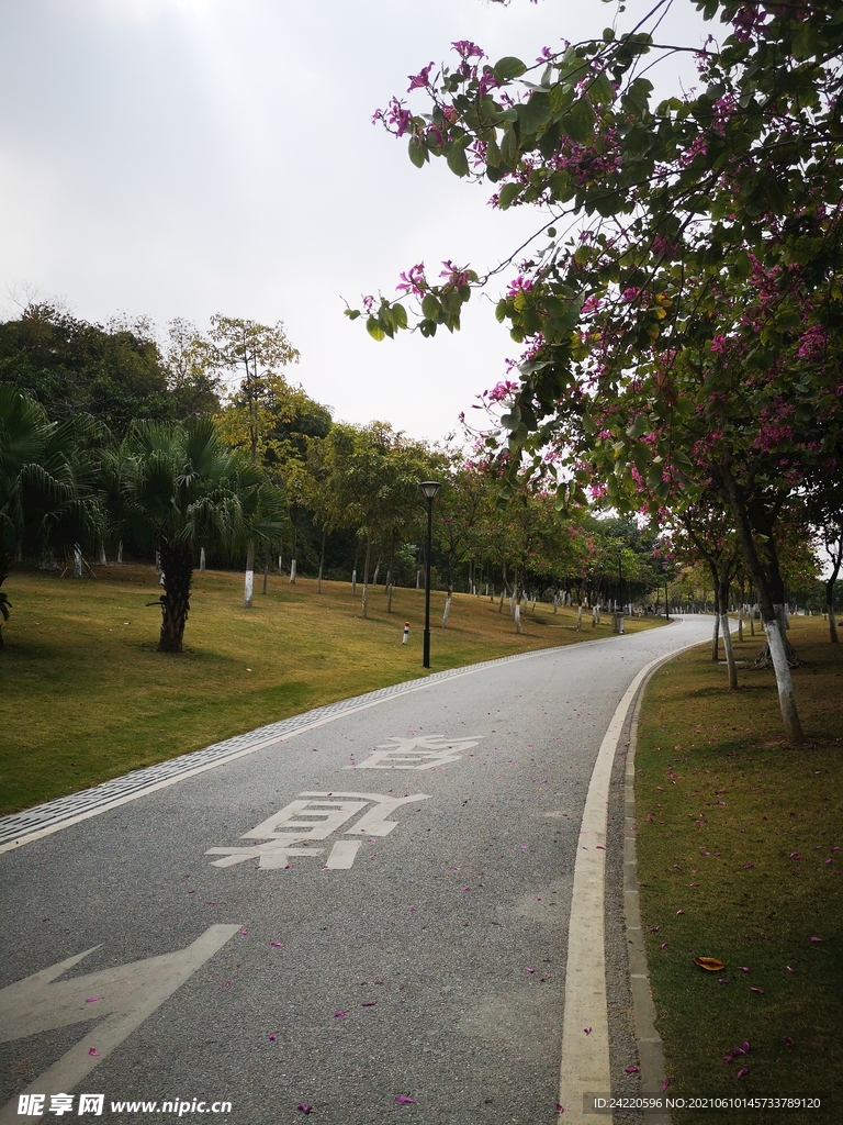 小路