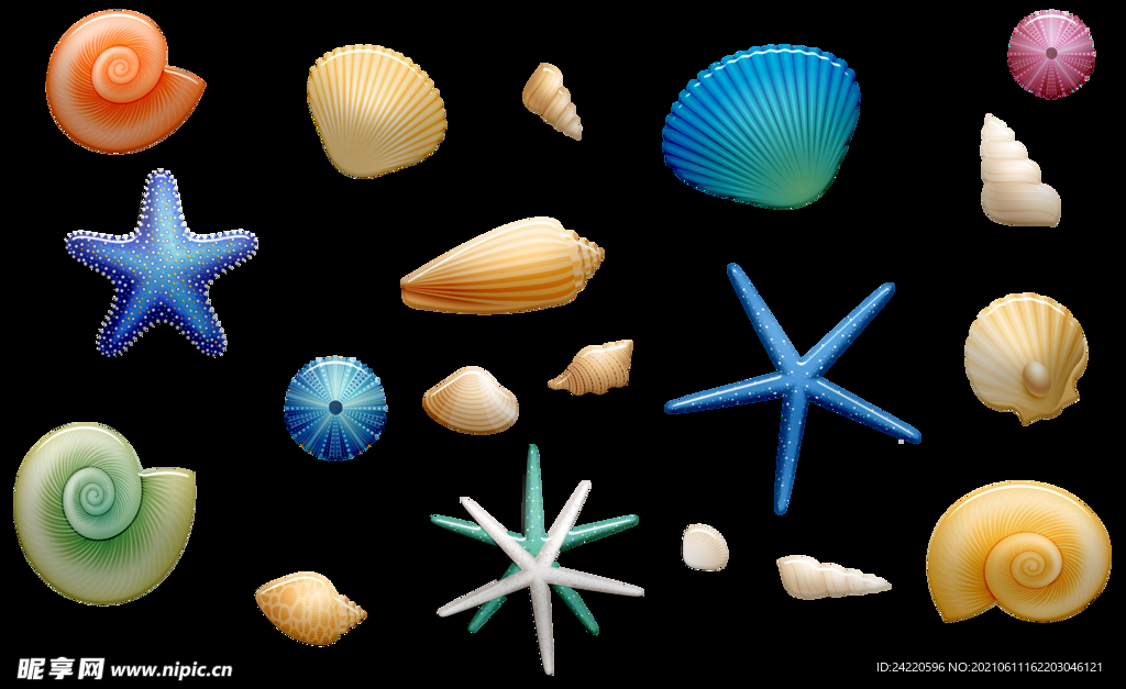 海螺