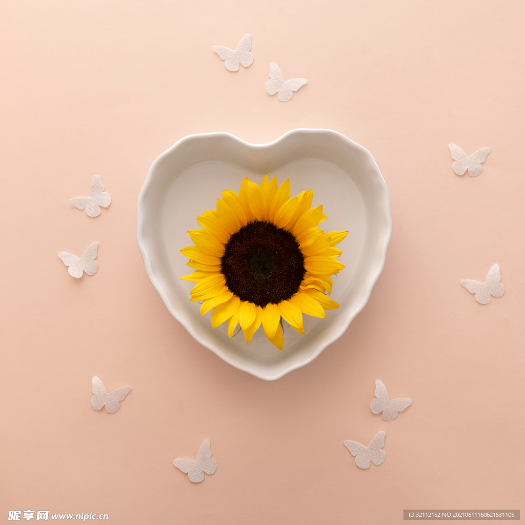 心形碟子和向日葵