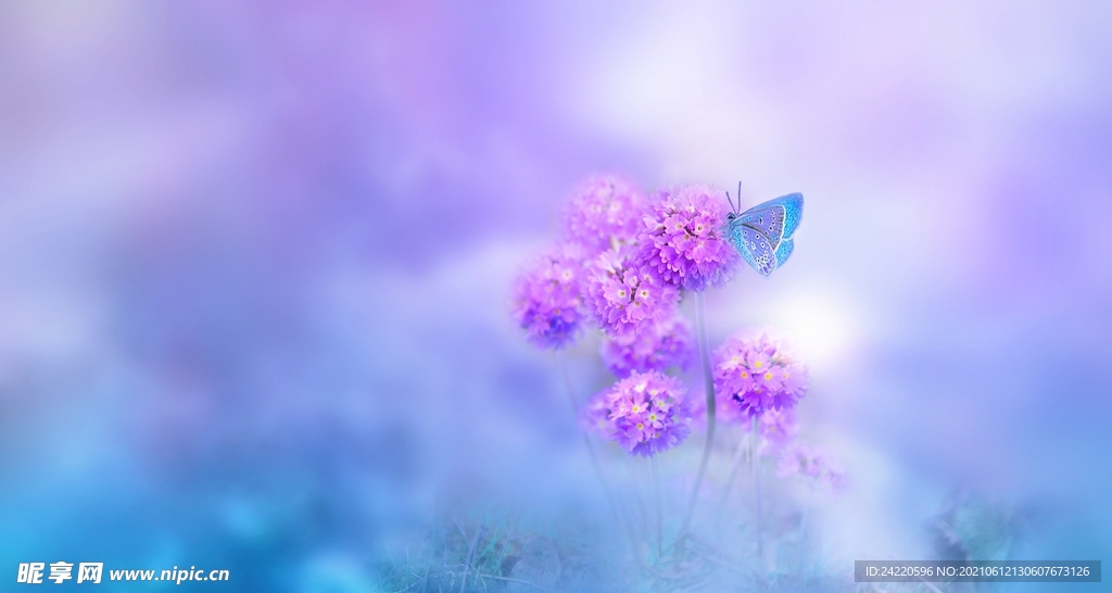 鲜花