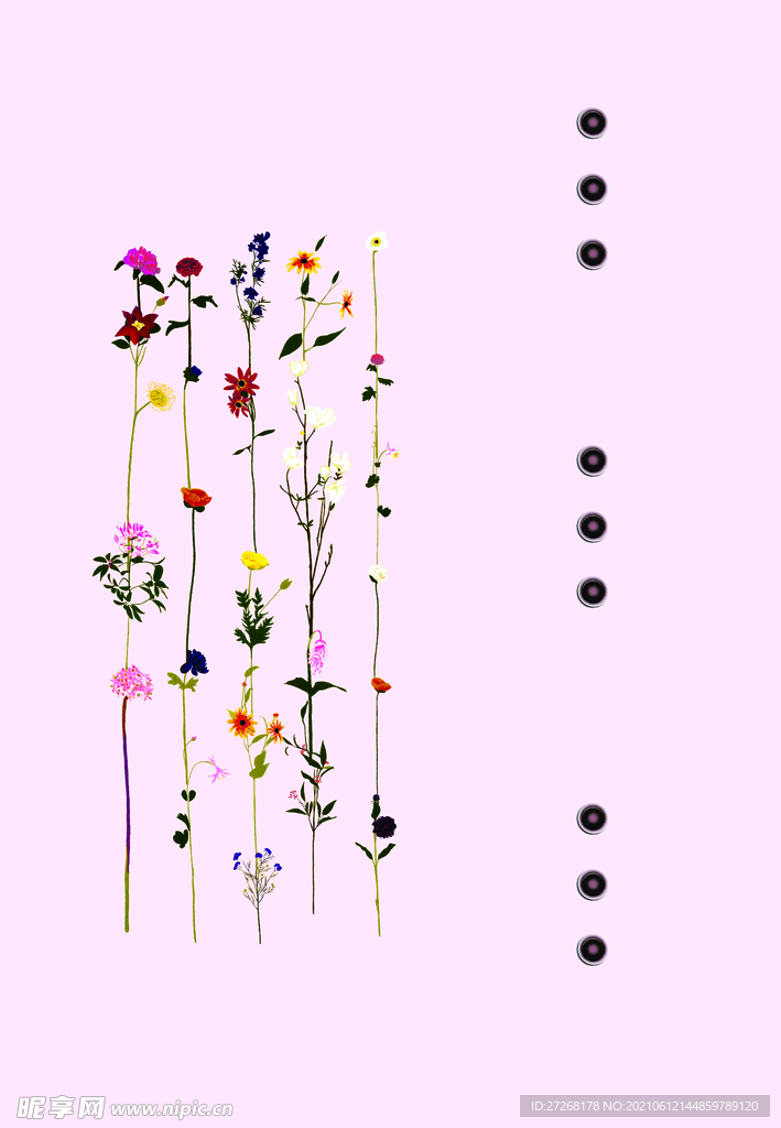 定位花