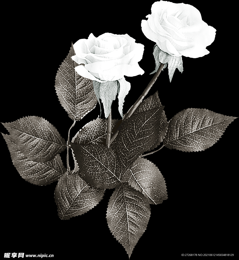 定位花