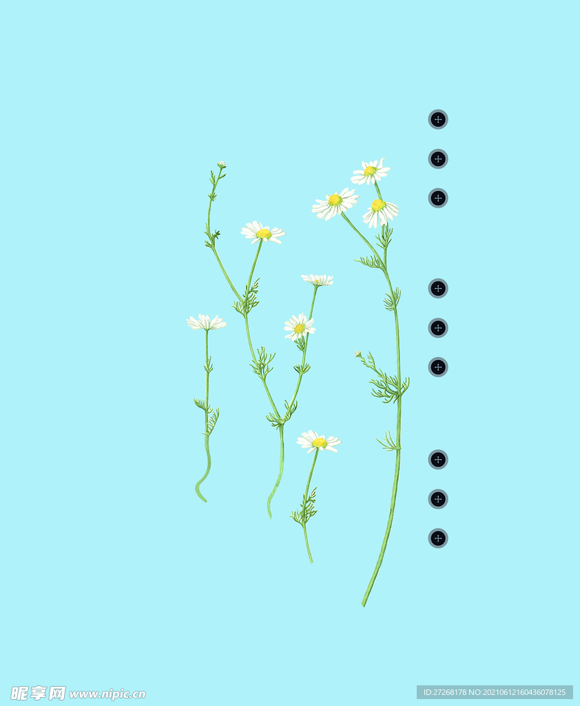 小碎花