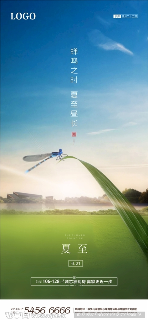 夏至海报
