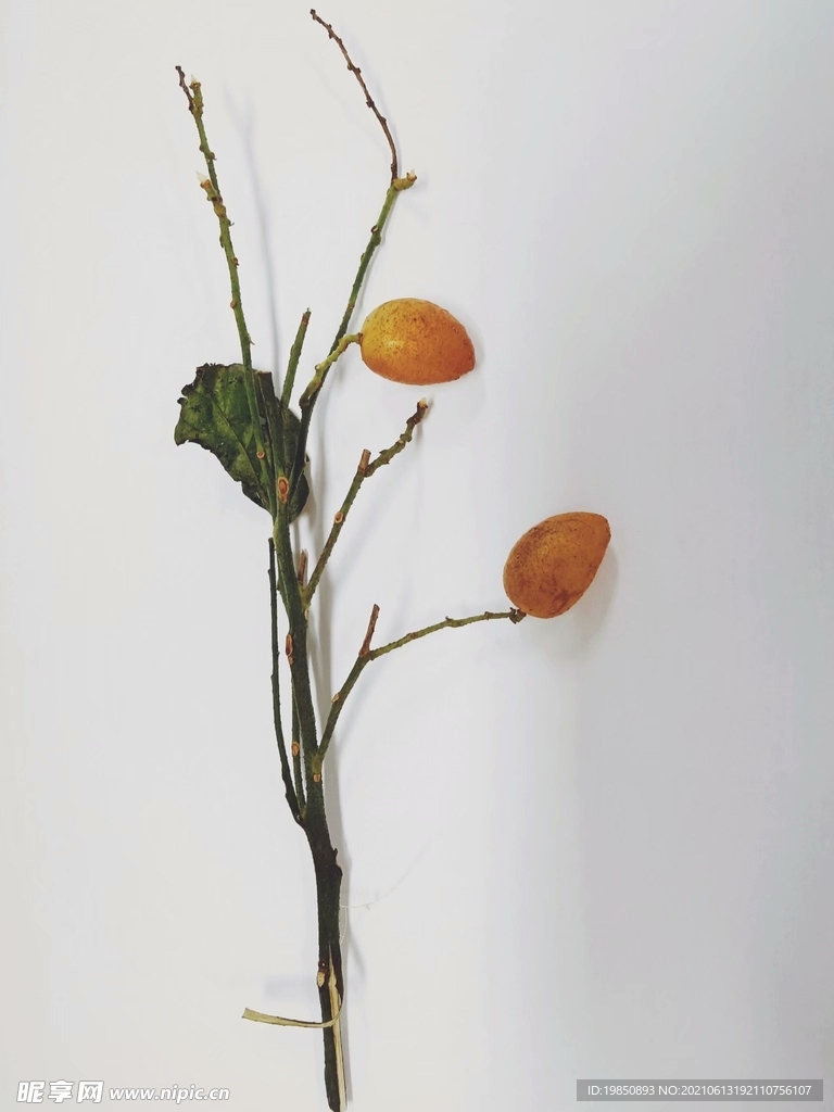 黄皮果